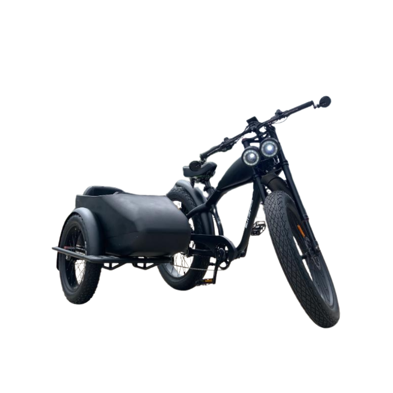 BLITZINbikes Sidecar in Black