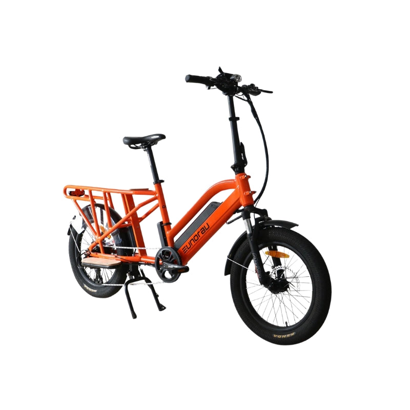 Eunorau G30-Cargo E-Bike