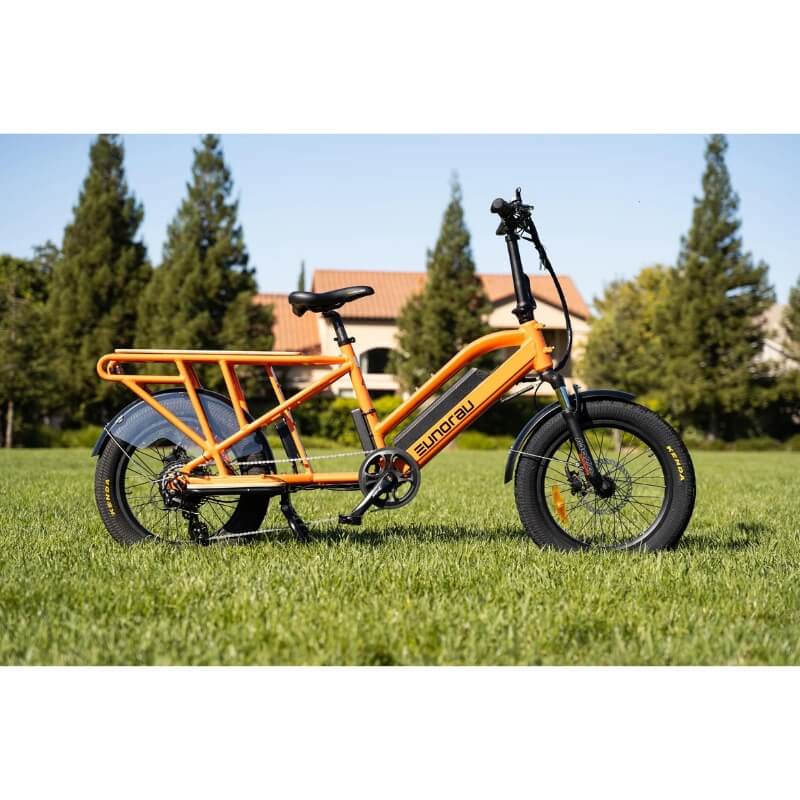 Eunorau G30-Cargo E-Bike