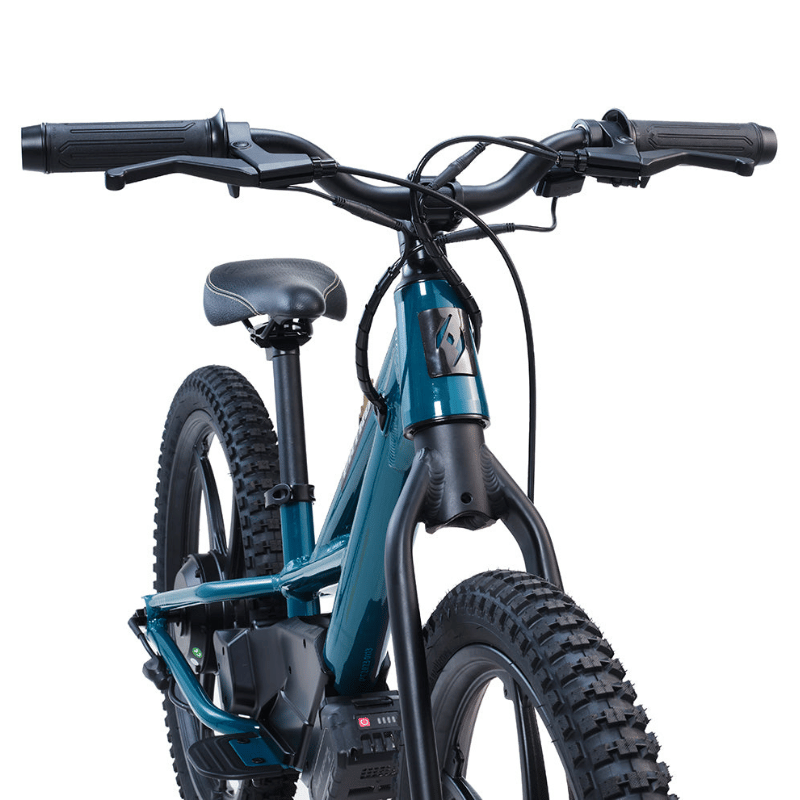 PATROL EMX 20 200W 18V Kids Electric Bike Dark Teal Front View