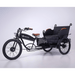 VALLKREE Chariot 250W 48V 14.5Ah Electric Bike Front Side View