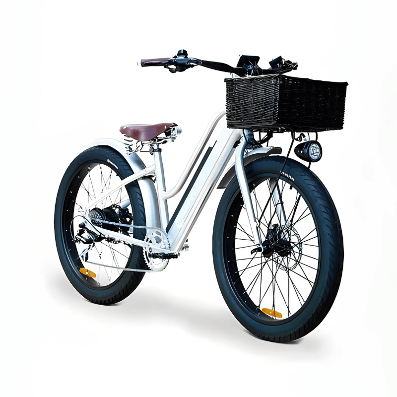 VALLKREE Street Gypsie 250W 48V 15Ah Electric Bike Silver Front Side View