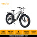 VELOZ Discovery Fat 750W 48V 15Ah Electric Bike in Silver Features