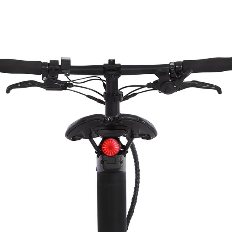 Carbo Model X Ebike Seat and Handlebars