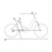 F1000 Electric Fat Tire Bike Dimensions with White Background