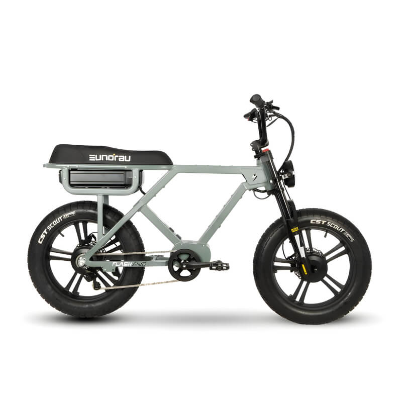 Flash E-bike in Colour Lunar Dust AWD