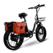 Y20 Electric Bike in Colour Black Rear Side View